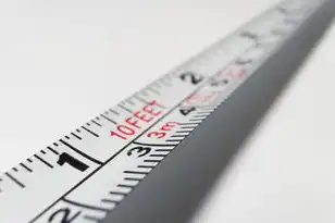 检查服务器是否准确的软件，深入剖析，如何通过专业软件准确检查服务器性能与稳定性