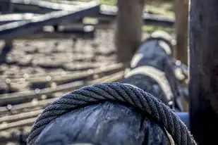 动态域名有什么用，动态域名注册地址详解，高效稳定的网络连接新选择
