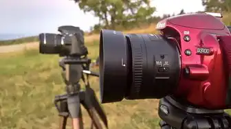 虚拟机怎么共享物理机硬盘数据，虚拟机与物理机硬盘数据共享技术深度解析，全场景解决方案与实践指南