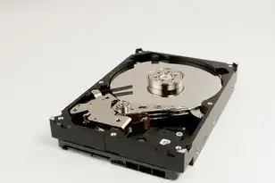 对象存储oss是存什么的，对象存储OSS，企业数据资产管理的革命性解决方案