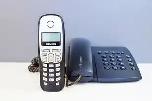 迷你web服务器，从零开始，手把手教你搭建并使用迷你ASP服务器（含完整实战指南）