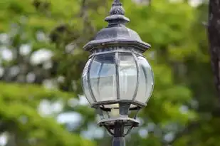 动态域名有什么用，动态域名注册地址全解析，技术原理、应用场景与注册指南