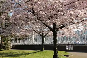 日本樱花云服务器hu，日本樱花云服务器技术解析，全球资源访问与数字时代基础设施革新