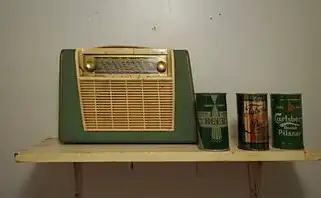 1台主机多个显示器独立显示无信号，一台主机多显示器独立显示无信号全解析，从硬件排查到软件调优的完整解决方案