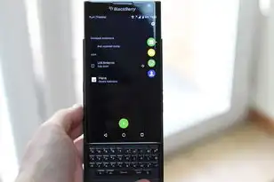 虚拟机linux挂载硬盘,虚拟机Linux挂载ISO镜像全流程解析,从基础操作到高级优化