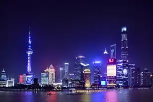 上海市企业云服务平台官网,赋能数字化转型,上海市企业云服务平台全解析