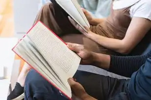对象存储与文件存储的比较?怎么解决呢，对象存储与文件存储的深度对比及解决方案，技术演进与架构实践