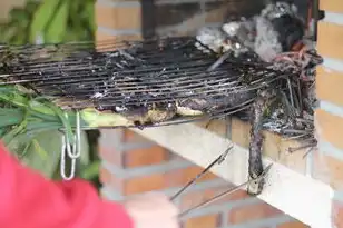 阿里在新加坡的公司招聘信息，阿里新加坡数据中心突发大火，危机背后的技术与管理启示—从岗位需求看企业韧性建设