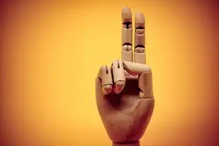 云服务指的是什么，云服务，数字时代的资源革命与商业重构
