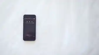 信创服务器是什么架构，信创服务器与非信创服务器架构差异及性能对比研究