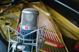 本地服务器租赁商家怎么收费，本地服务器租赁商家收费模式全解析，从基础费用到增值服务的深度拆解