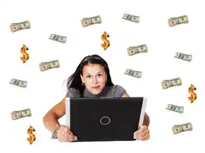 域名的注册步骤，域名注册全流程解析，从选择到管理的12个关键步骤