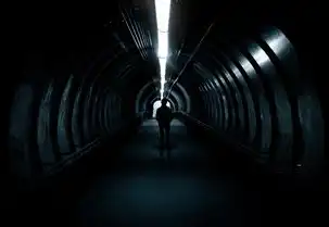 海康威视存储服务器下载安装，海康威视存储服务器全流程部署指南，从下载到深度优化技术解析
