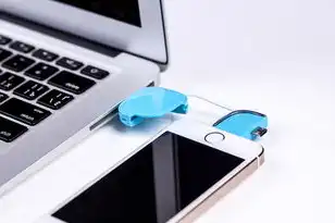 国产信创服务器品牌，国产信创服务器产业崛起，技术突破、生态重构与数字化转型新引擎