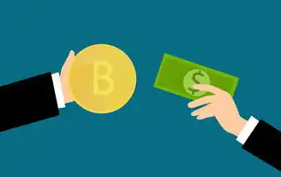 境外支付宝注册,支付宝跨境支付赋能海外电商,深度解析境外域名注册全流程与商业实践指南