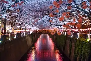 日本樱花服务器正片免费，日本樱花云服务器免费使用全攻略，揭秘东瀛技术之美与商业逻辑