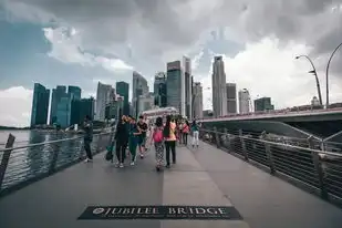 新加坡云服务器地址查询，新加坡云服务器地址全解析，数据中心分布、选型指南与行业应用实践（2023深度调研）