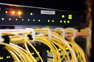 域名注册查询网站是什么,域名注册查询网站全解析,功能、选择与未来趋势的深度解读