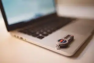 怎么查域名是谁注册的呢,如何查询域名注册人信息,全流程解析与实战指南
