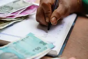 公司域名注册要收费吗，公司域名注册要收费吗？揭秘注册商全流程及费用解析