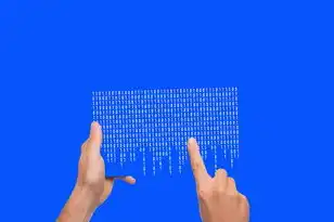 obs有哪几种存储类型，Obs对象存储服务全解析，存储类型、技术架构与行业应用
