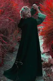 魔兽世界台湾服务器显示高负载状态，魔兽世界台湾服务器高负载，现象解析与玩家应对指南