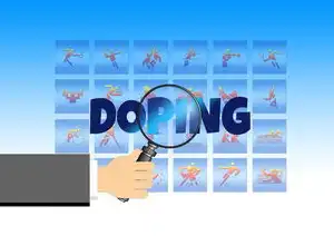 如何查询域名注册公司信息,域名注册公司查询全流程解析,从技术工具到商业决策的深度指南