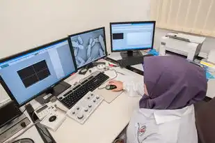 云服务器和轻量级应用服务器，云服务器与轻量应用服务器的架构差异、性能对比及场景化选型指南