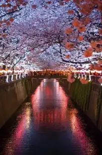 日本樱花服务器破解版最新，日本樱花服务器破解版深度解析，2024最新功能全攻略与风险预警