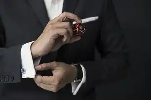 政务和公益机构域名注册管理中心怎么样,数字中国建设的基石,政务和公益域名注册中心事业单位的实践与展望