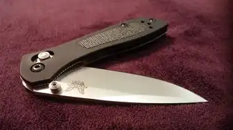 家用刀片服务器选择，家用刀片服务器高性价比全指南，从概念解析到实战搭建的深度技术手册