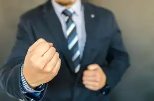 代理云服务赚钱吗安全吗，代理云服务真的能赚钱吗？安全吗？揭秘代理云服务的盈利模式与风险控制全解析