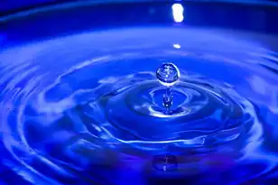 动态域名怎么申请，动态域名注册全指南，从申请到配置的详细步骤解析（附主流服务商对比）