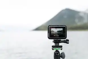 虚拟机怎么减小硬盘容量，虚拟机硬盘扩容与缩容全攻略，从技术原理到实战操作