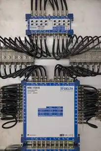 服务器分哪些类型，服务器分类全解析，架构、用途、形态与未来趋势
