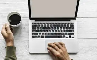 如何查询域名注册人信息,揭秘域名注册人信息查询全攻略,从公开数据到隐私保护下的实用技巧