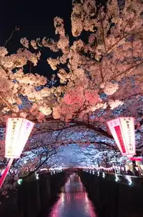 日本樱花服务器吧，三日本樱花服务器，数字花瓣与传统文化共舞的沉浸式体验全解析
