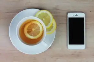 我的世界java版服务器ip地址大全，我的世界Java版服务器IP地址大全，2023年最新版，涵盖生存、创造、红石、多人联机等全类型服务器推荐