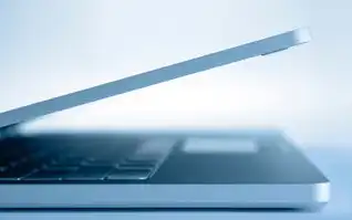 物理服务器租用价格多少，2023-2024年度物理服务器租用价格深度解析，成本构成、市场趋势与优化策略