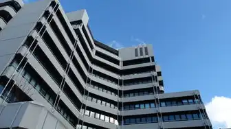 北京云服务公司，北京云服务器租用服务全解析，选择、优势与未来趋势