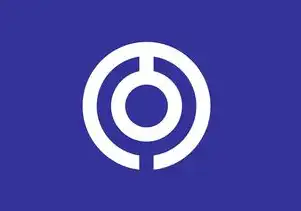日本云服务器购买，日本云服务器购买全流程指南，2023最新选型与实战经验（含成本优化与合规要点）