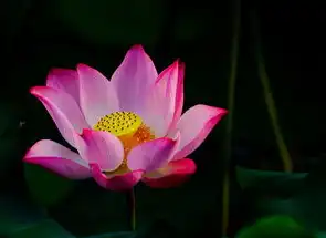 电脑主机第四个红色灯闪烁怎么回事,电脑主机第四个红色指示灯闪烁的深度解析与解决方案