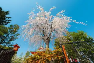 日本樱花服务器正片下载,日本樱花云服务器免费使用指南,正版资源下载与合法应用全解析(1968字)