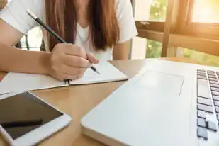 虚拟机硬盘改小怎么改，虚拟机硬盘扩容与缩容全攻略，从操作步骤到注意事项的完整指南