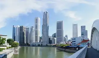 新加坡虚拟云主机多少钱，新加坡虚拟云主机价格全解析，2024年主流服务商对比与选购指南