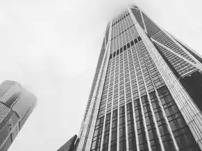 中国云服务商市场份额，2023年中国云服务商市场份额深度解析，政策驱动下的竞争格局与未来趋势