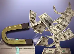注册域名时的注意事项有哪些,注册域名必知的十大关键条款与避坑指南,从选域到维权的全流程解析