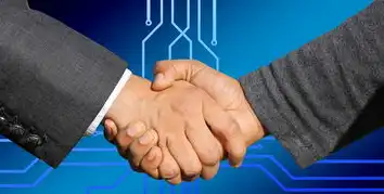 怎么查自己注册的域名信息,手把手教你查询已注册域名,从基础操作到高级管理全攻略