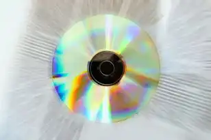 储存数据的对象有哪些特点，数据存储对象的演进与分类，从物理介质到智能系统的多维解析