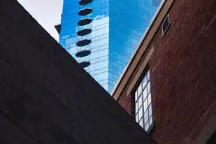 自建服务器与私有云区别在哪,自建服务器与私有云架构的深度对比,从成本到安全性的六大核心差异